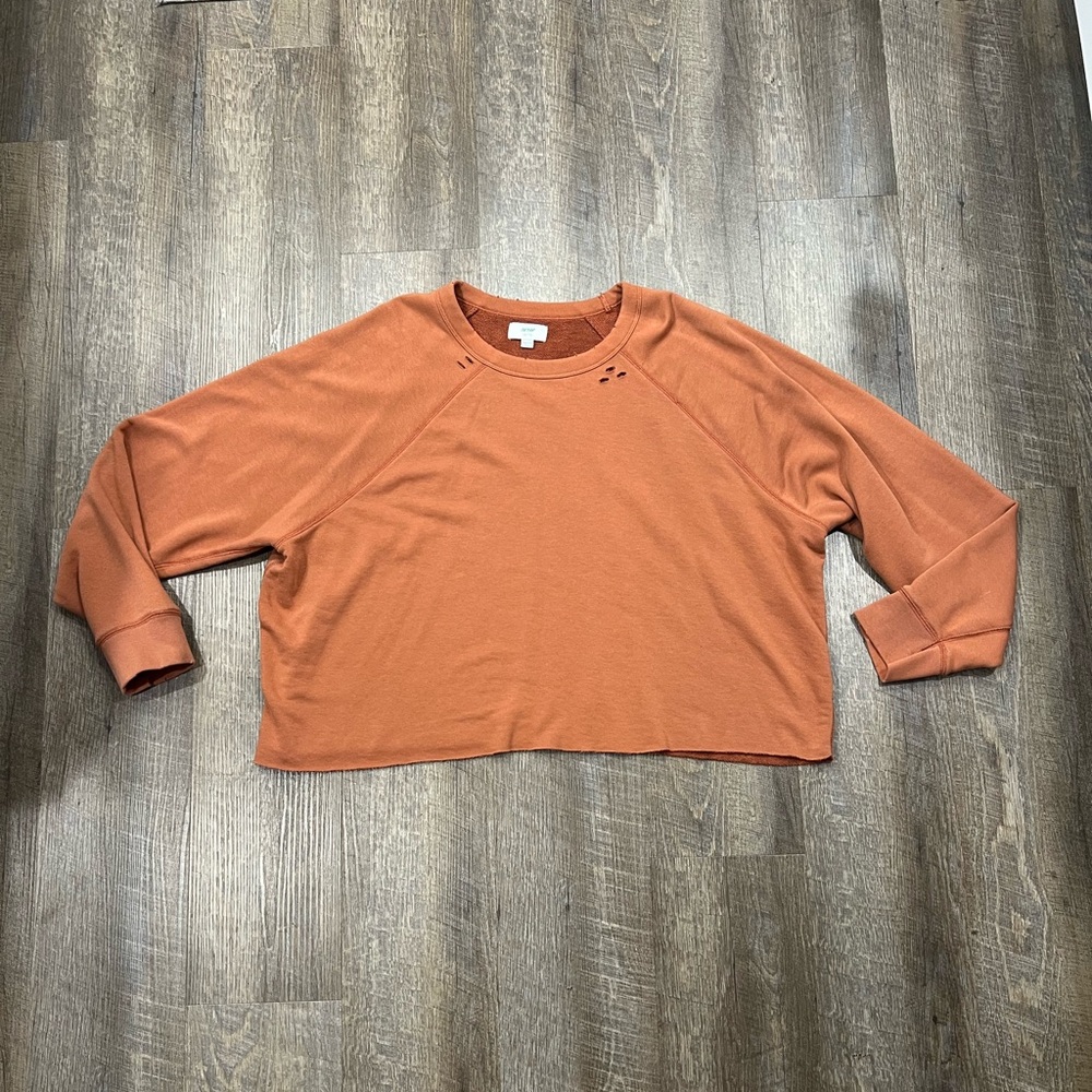 Aerie plus size Cropped Rust Orange Crewneck Sweatshirt
